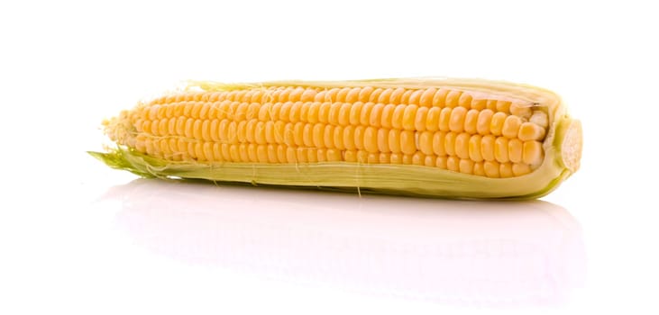 Corn isolated on white