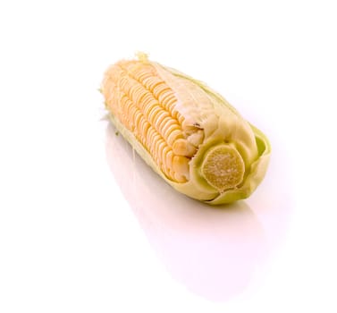 Corn isolated on white