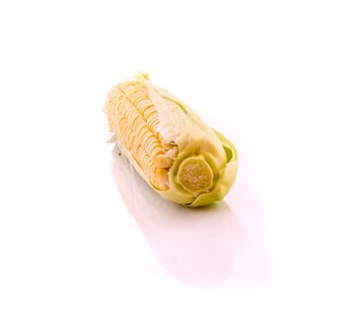 Corn isolated on white