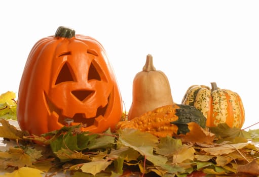colorful halloween pumpkin with autumn leaves and gourd