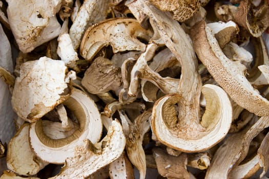 photo of sliced dry mushrooms for gastronomy