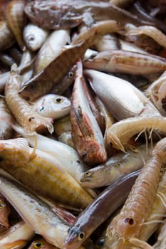 photo of some fresh fishes at the market