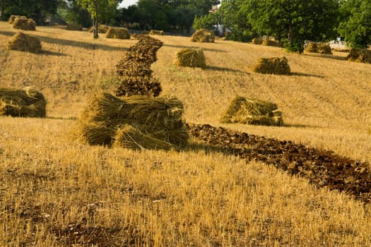 photo of a typical farm in the south of italy