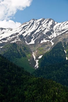 landscape with forest covered mountain in foreground and mountain peak with snow and blue sky in background