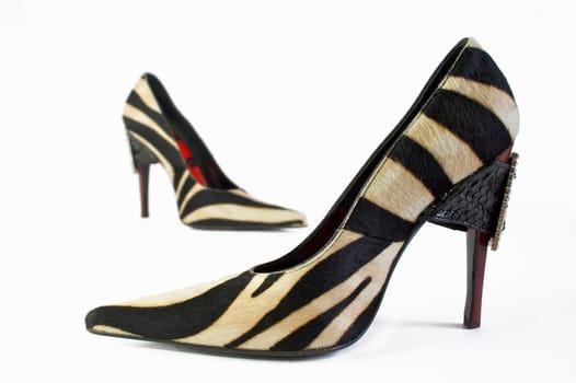 two elegance and fashion shoes on white background