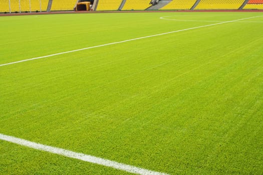 View of the green grassy artificial lawn on football/soccer field