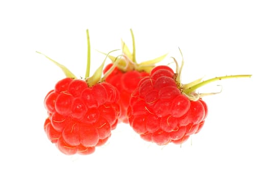 three ripe raspberry on white background