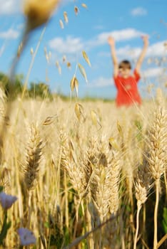 happy boy in yellow wheat field at scenic rural background