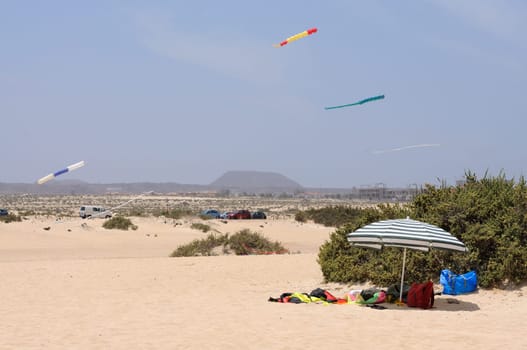 Beach at Corralejo, Canary Island Fuerteventura, Spain