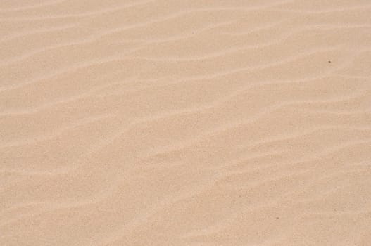 Sand dune texture
