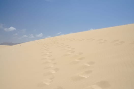 Dune at the Canary Island Fuerteventura, Spain