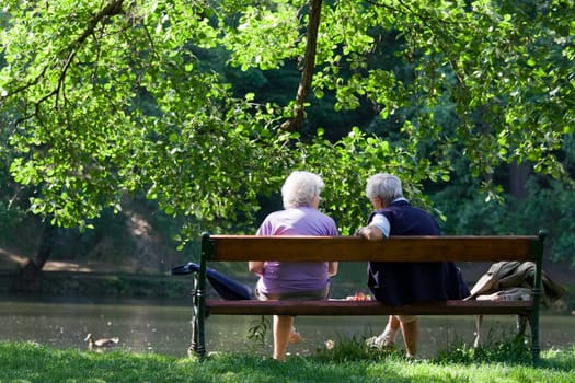 Grandparents are sitting on the bench and talking to each other in the spring park