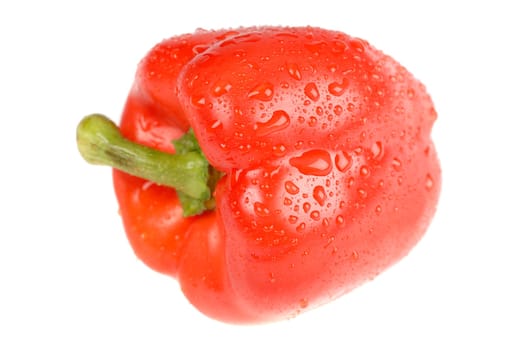 fresh raw red paprika with water drops