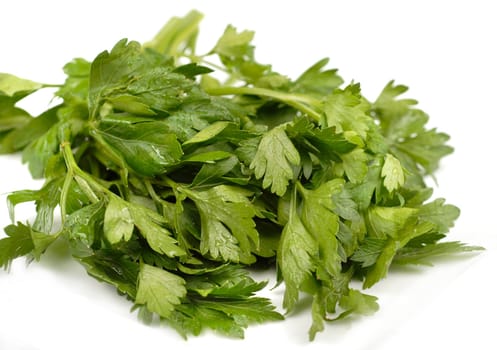 macro green fresh parsley over white