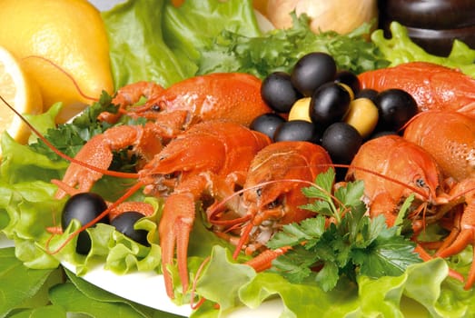 cancer food, full plate