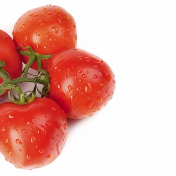 Red tomatoes with a green branch on the white background, isolated
