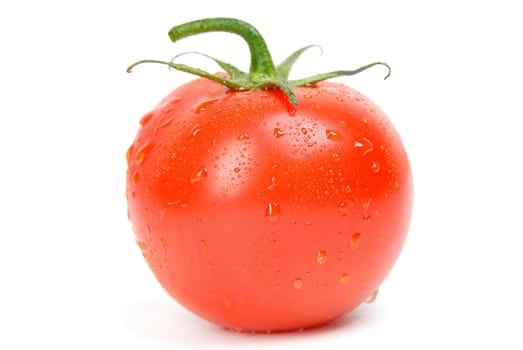 tomato single wet water drops