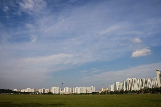 A Singapore landscape with a green grass field in front ground. People are flying kite there.