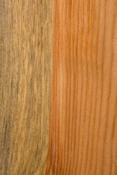 close up of wood texture background
