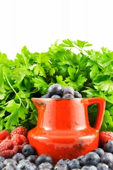 Photo of the fruits. Isolated