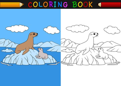 Cartoon seal coloring book