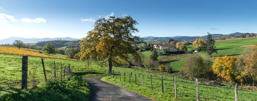 Nice countryside in Beaujolais zone in France