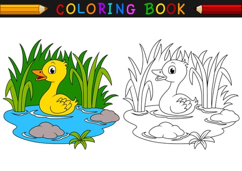 Cartoon duck coloring book