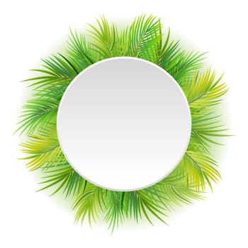 Tropical green palm leaves with white round frame place for text isolated on white background