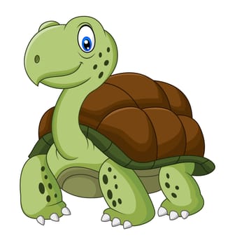 Funny turtle cartoon