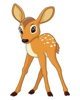 Cute baby deer