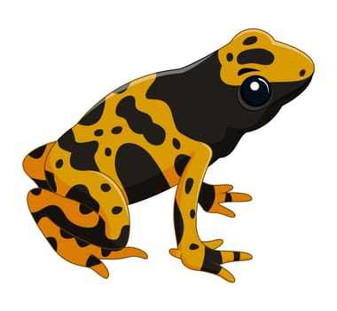 Poison dart frog isolated on white background