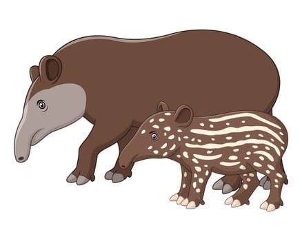 Mother and baby tapir