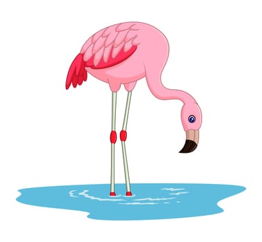 Cartoon flamingo