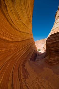 The Wave of Coyote Buttes in the Vermillion Cliffs Wilderness Area, Utah and Arizona