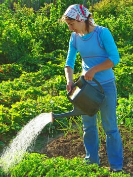 woman watering vegetable bed at the rural farm