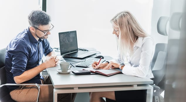 Business meeting. Client consulting. Confident business woman, real estate agent, financial advisor explaining details of project or financial product to client in office