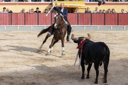 March 26, 2023 Lisbon, Portugal: Tourada - adult man on a horse against a bull in the arena. Mid shot