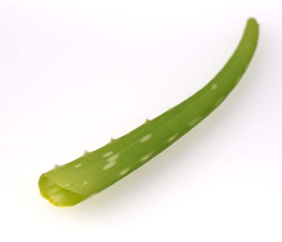 Aloe,Barbadensis Vera is a thick-leaved plant and is used in medicine as a medicine. Aloe,Barbadensis Vera is a succulent plant and is used in medicine as a medicinal product.
