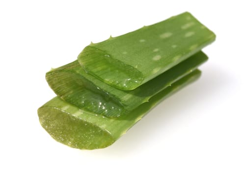 Aloe,Barbadensis Vera is a thick-leaved plant and is used in medicine as a medicine. Aloe,Barbadensis Vera is a succulent plant and is used in medicine as a medicinal product.