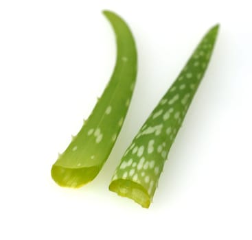 Aloe,Barbadensis Vera is a thick-leaved plant and is used in medicine as a medicine. Aloe,Barbadensis Vera is a succulent plant and is used in medicine as a medicinal product.
