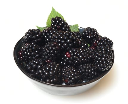 Blackberries,Rubus fructicosa,is a tasty berry plant with black berries. Blackberries,Rubus fructicosa,is a tasty berry plant with black berries