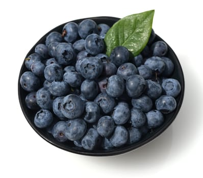 Blueberries or blueberries,vaccinium,myrtillus,is a tasty berry plant with blue berries. Bilberry or bilberry,vaccinium myrtillus,is a tasty berry plant with blue berries.