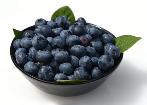 Blueberries or blueberries,vaccinium,myrtillus,is a tasty berry plant with blue berries. Bilberry or bilberry,vaccinium myrtillus,is a tasty berry plant with blue berries.