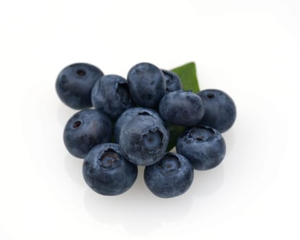 Blueberries or blueberries,vaccinium,myrtillus,is a tasty berry plant with blue berries. Bilberry or bilberry,vaccinium myrtillus,is a tasty berry plant with blue berries.