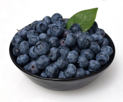 Blueberries or blueberries,vaccinium,myrtillus,is a tasty berry plant with blue berries. Bilberry or bilberry,vaccinium myrtillus,is a tasty berry plant with blue berries.