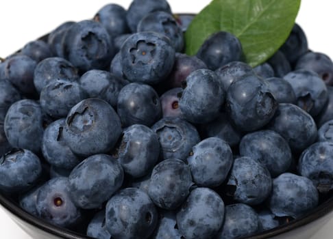 Blueberries or blueberries,vaccinium,myrtillus,is a tasty berry plant with blue berries. Bilberry or bilberry,vaccinium myrtillus,is a tasty berry plant with blue berries.