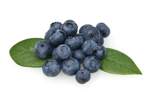 Blueberries or blueberries,vaccinium,myrtillus,is a tasty berry plant with blue berries. Bilberry or bilberry,vaccinium myrtillus,is a tasty berry plant with blue berries.