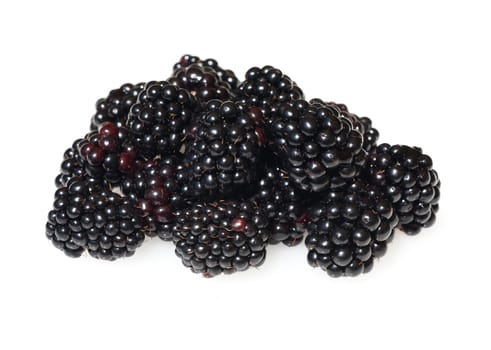 Blackberries,Rubus fructicosa,is a tasty berry plant with black berries. Blackberries,Rubus fructicosa,is a tasty berry plant with black berries