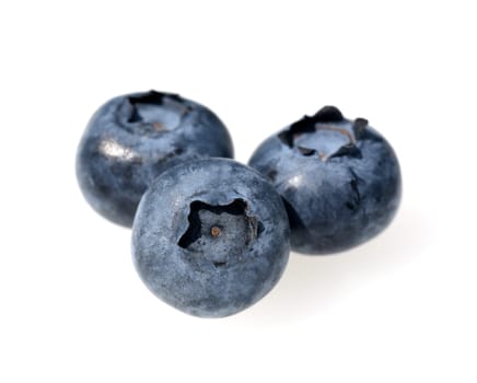Blueberries or blueberries,vaccinium,myrtillus,is a tasty berry plant with blue berries. Bilberry or bilberry,vaccinium myrtillus,is a tasty berry plant with blue berries.