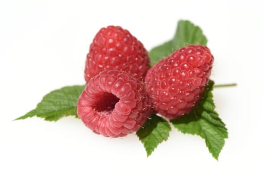 Raspberries,Rubus,idaeus,is a tasty berry plant with red berries. Raspberries,Rubus idaeus,is a tasty berry plant with red berries.